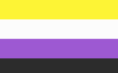 Non-binary pride flag
