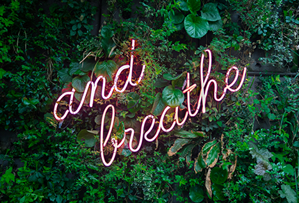 Neon sign displaying the phrase "and breathe" against a living plant wall.