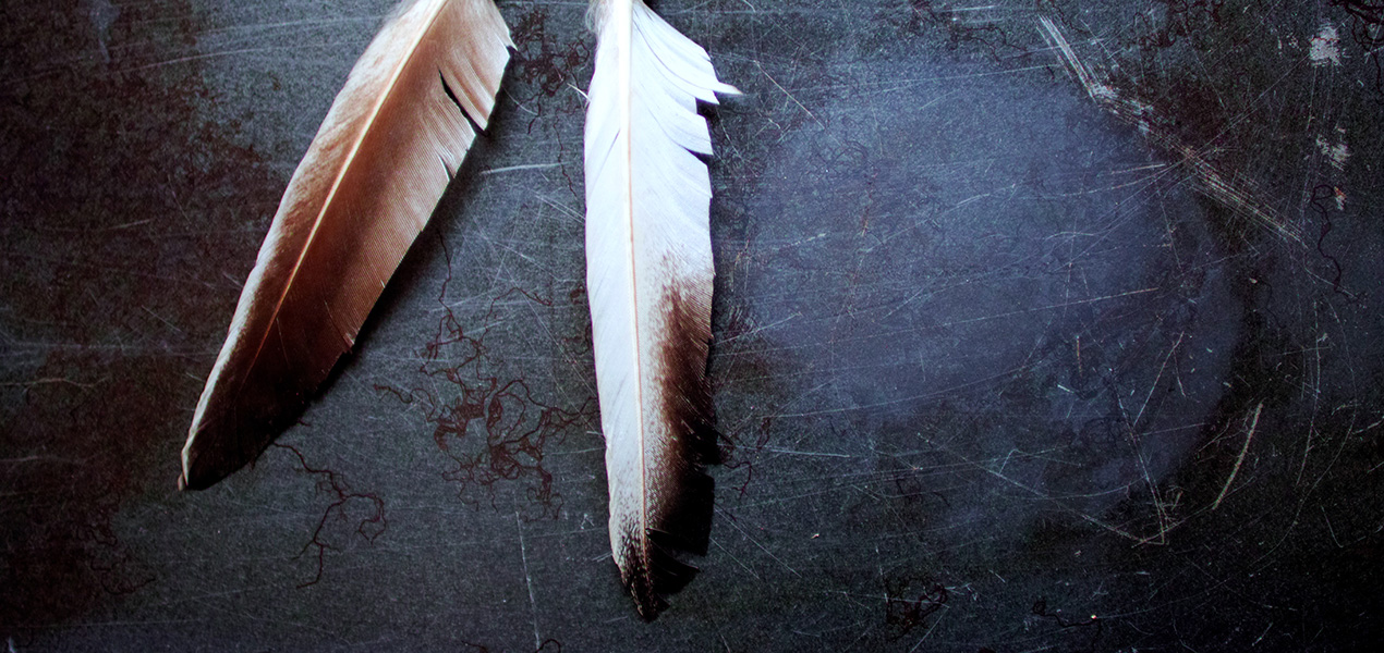 Two feathers of a medicine wheel.