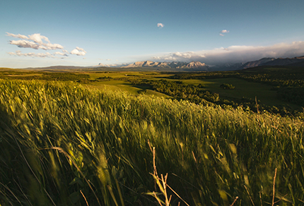 A panoramic view of Waterton National Park in Alberta, with green fields under a clear blue sky and distant mountains partially shrouded in clouds. 