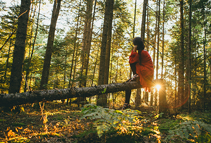 A woman with dark hair styled in a braid and wearing a red coat sits on a fallen tree in a sunlit forest, surrounded by tall trees and green foliage.