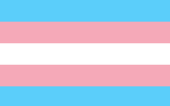 Trans pride flag
